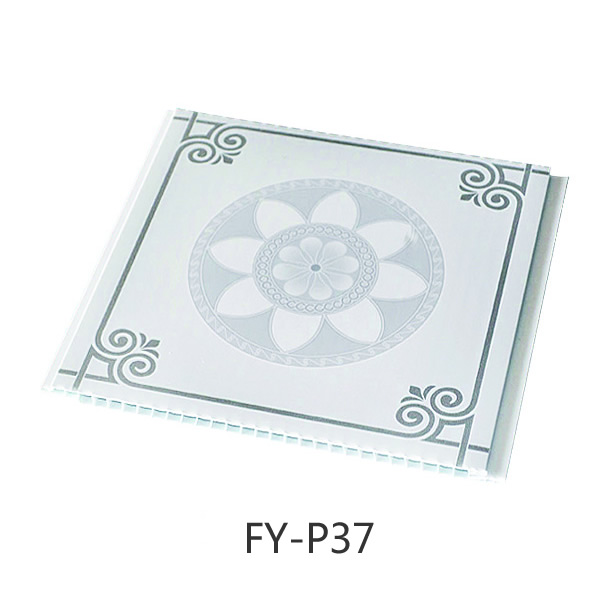 FY-P37